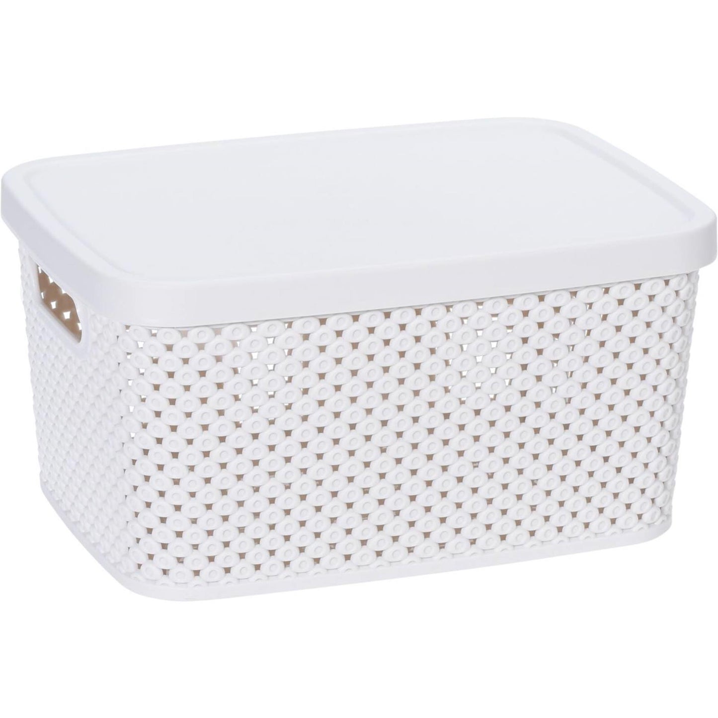 Storage solutions opbergdoos met deksel 3,5 liter 23x17x12cm kunststof 4ass