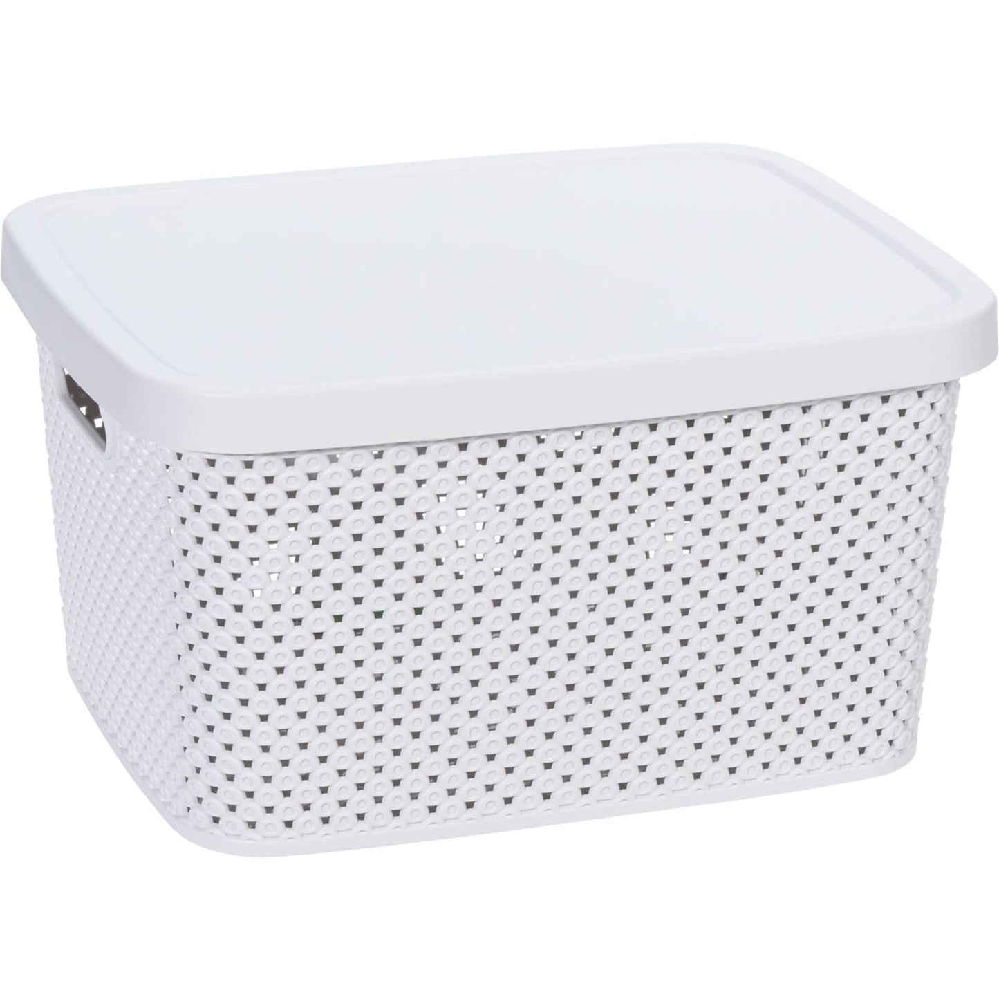 Storage solutions opbergdoos met deksel 7 liter 27,4x22x15cm kunststof 4ass