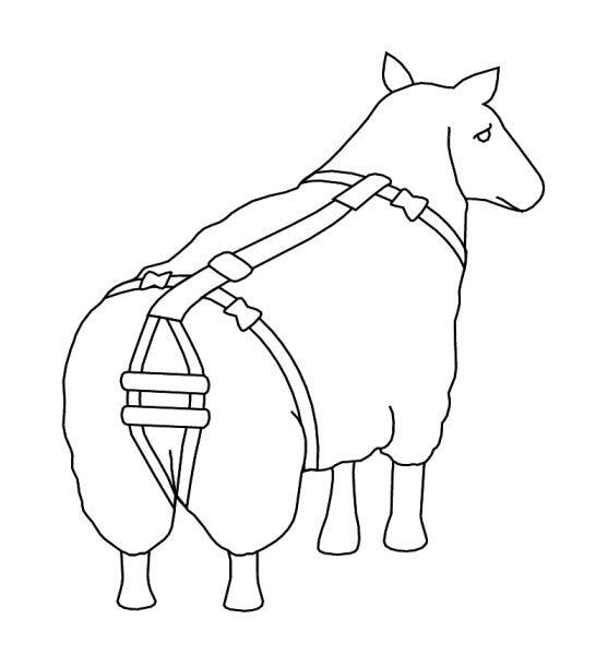 Producten lijfbieder bandage prolapsbandage voor schapen
