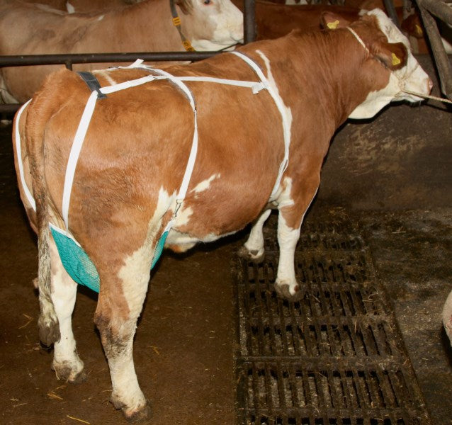 Producten uiernet compleet
