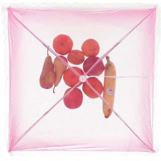 Vliegenkap 45 x 45 cm 4 assorti kleur