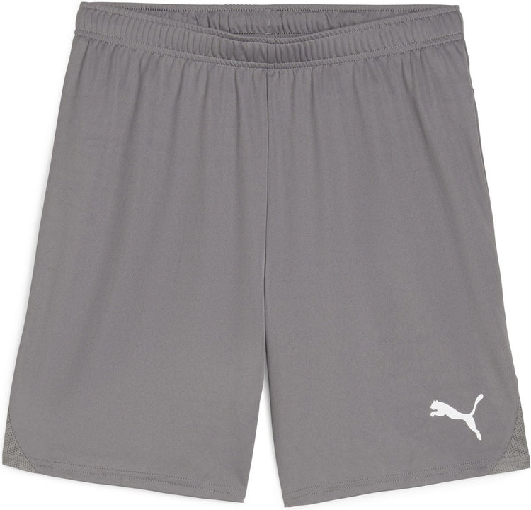 Puma teamgoal shorts heren sportbroek - cast iron- white