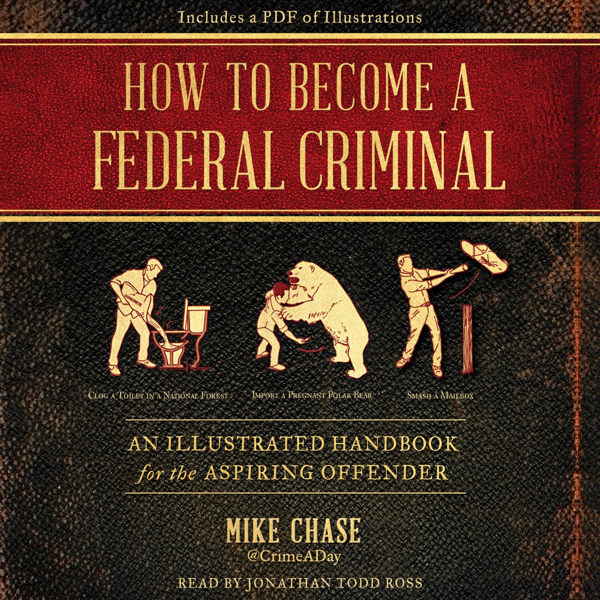 How to become a federal criminal
