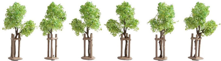 Noch jonge bomen met ondersteuning