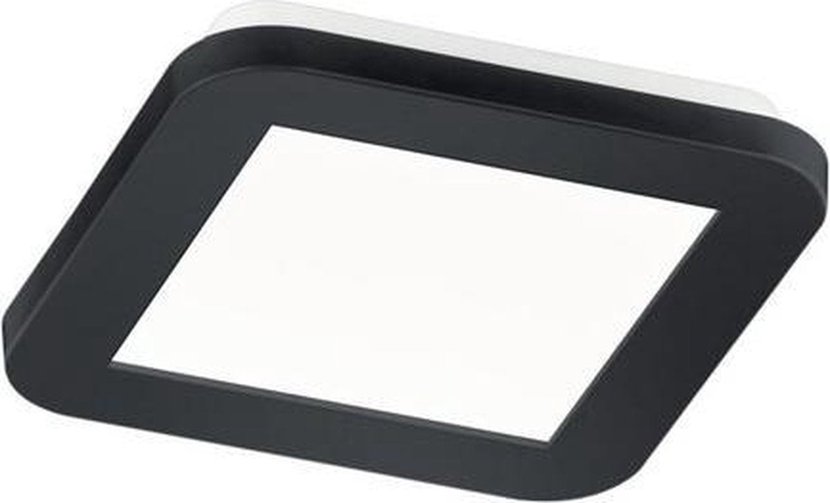 Rl live your light reality camillus - plafondlamp - badkamer - zwart - stappendim - 17cm