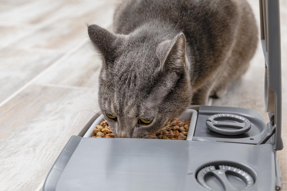 Petsafe automatische voerbak kat en hond - 2 x 150 gr - met timer - 2 maaltijden