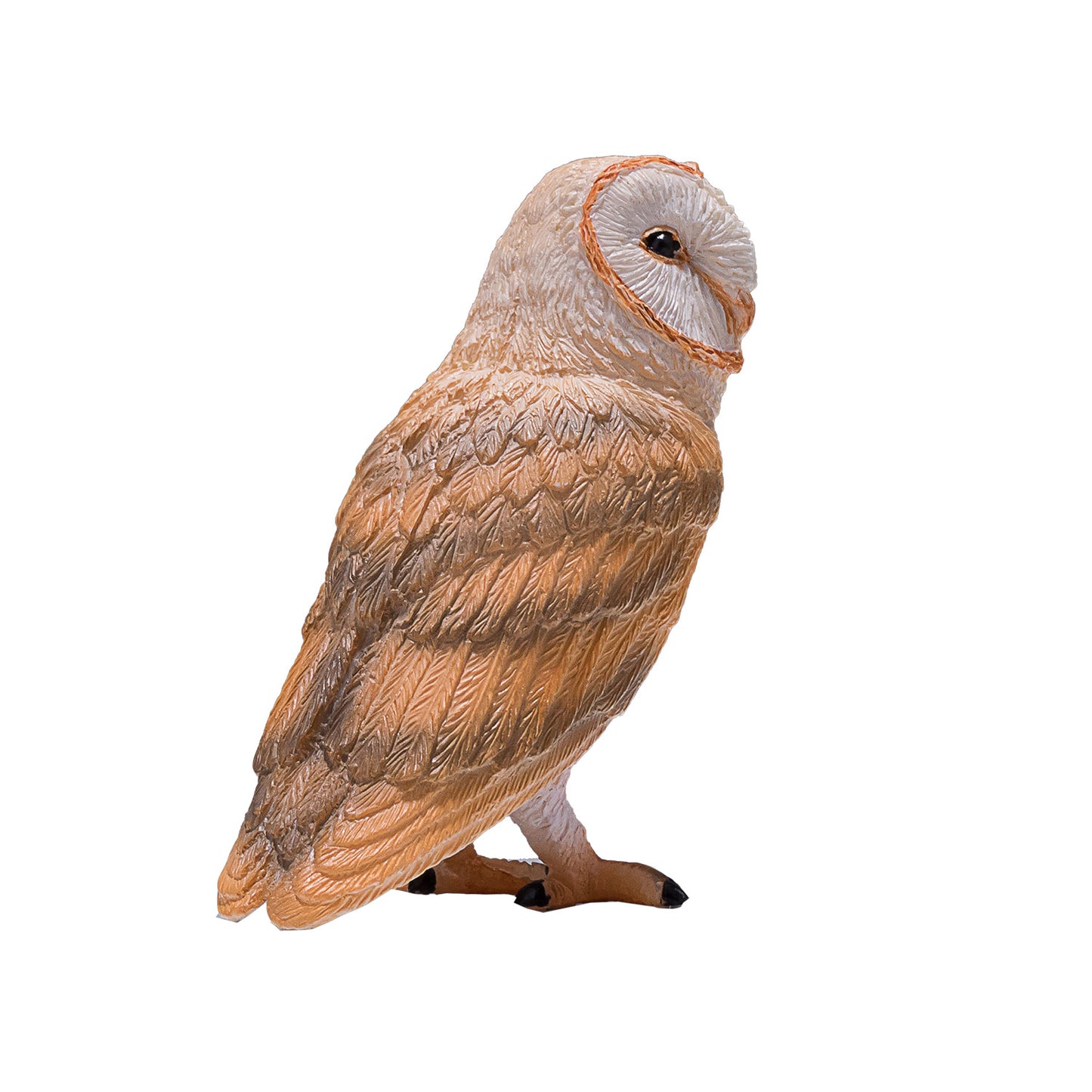 Mojo wildlife kerkuil - 381054