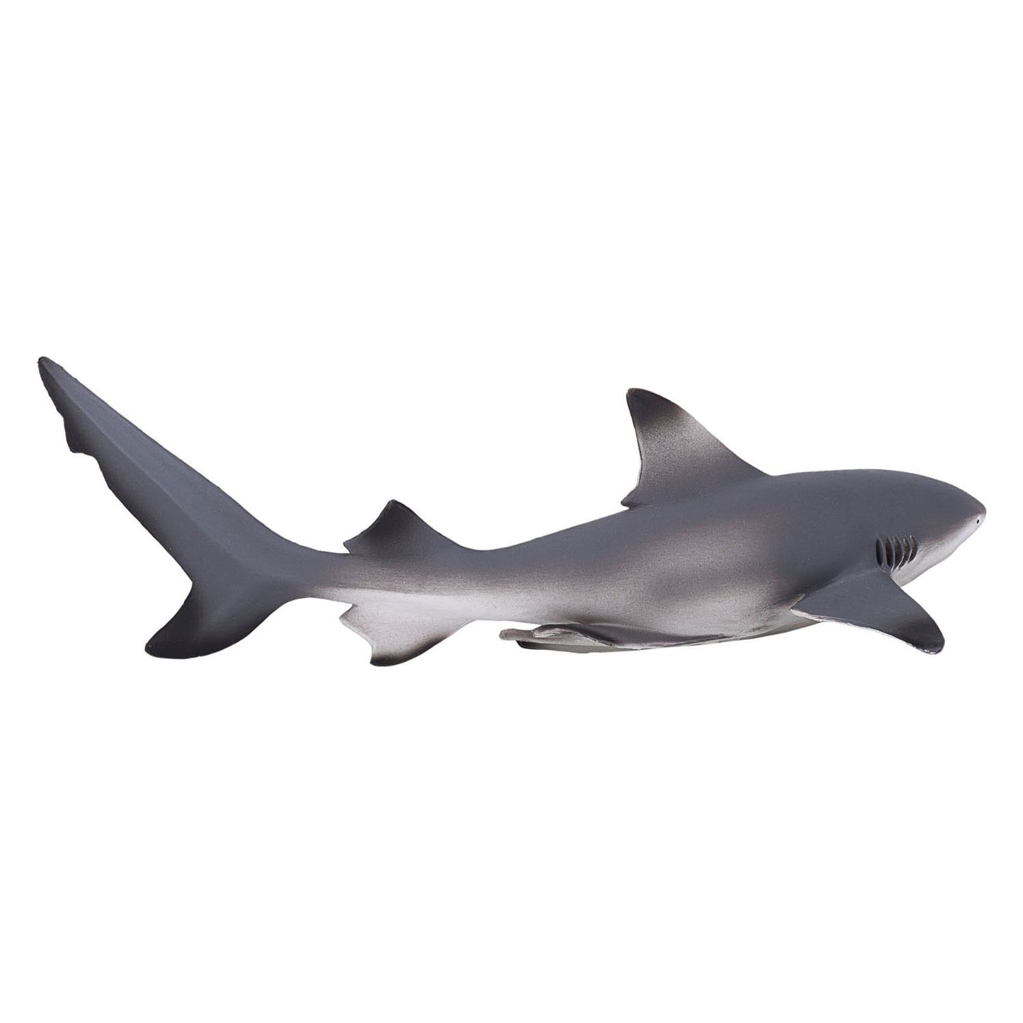 Mojo sealife zwartpuntrifhaai 387357