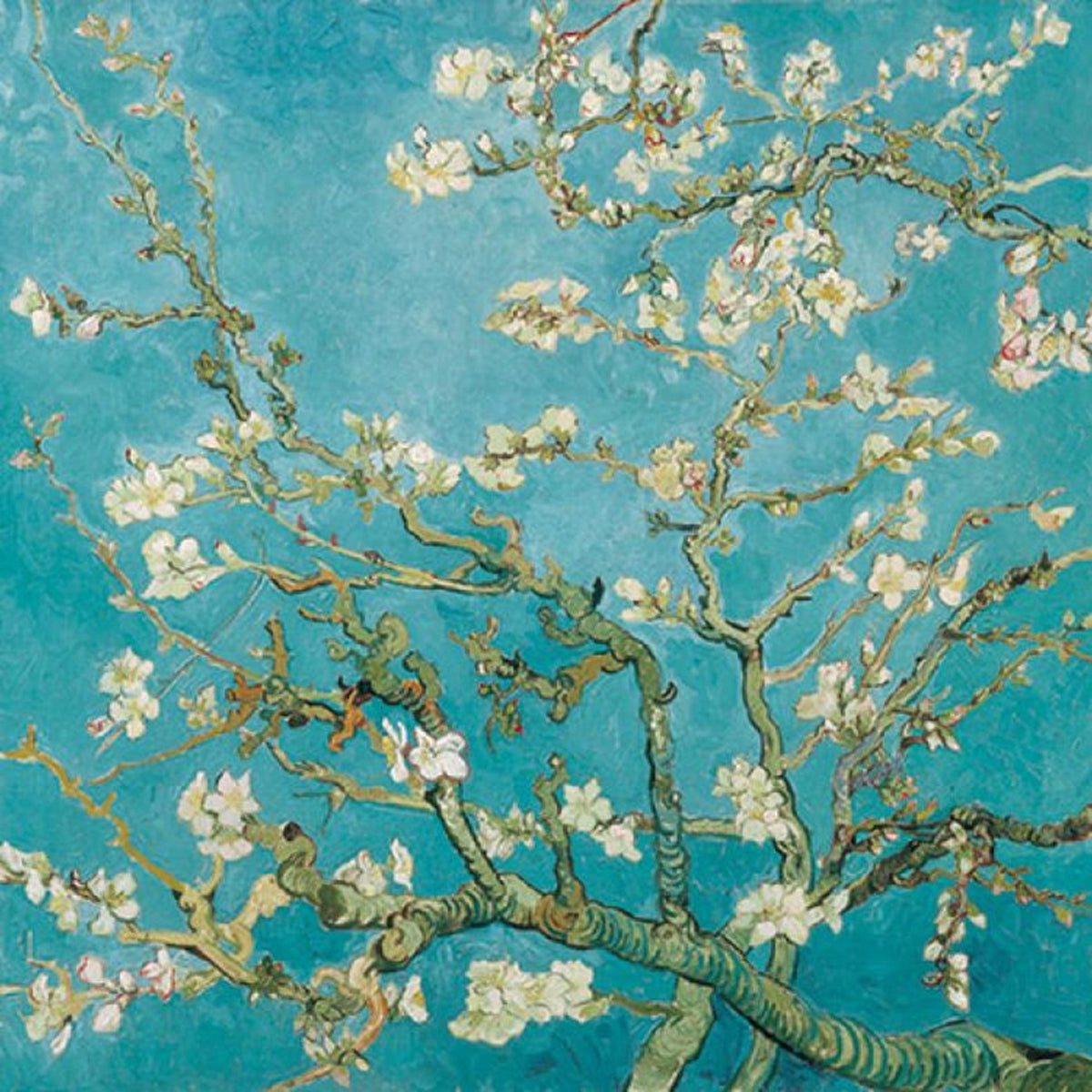 Ambiente servet 33cm almond blossom