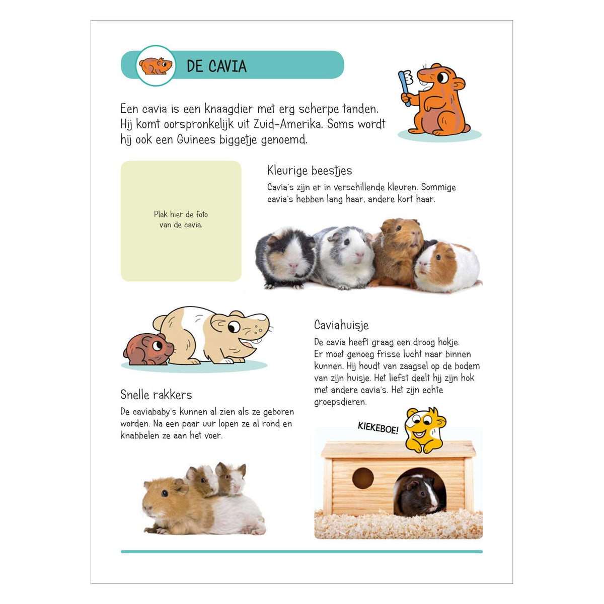 Stickerboek - Dieren in Huis en Tuin