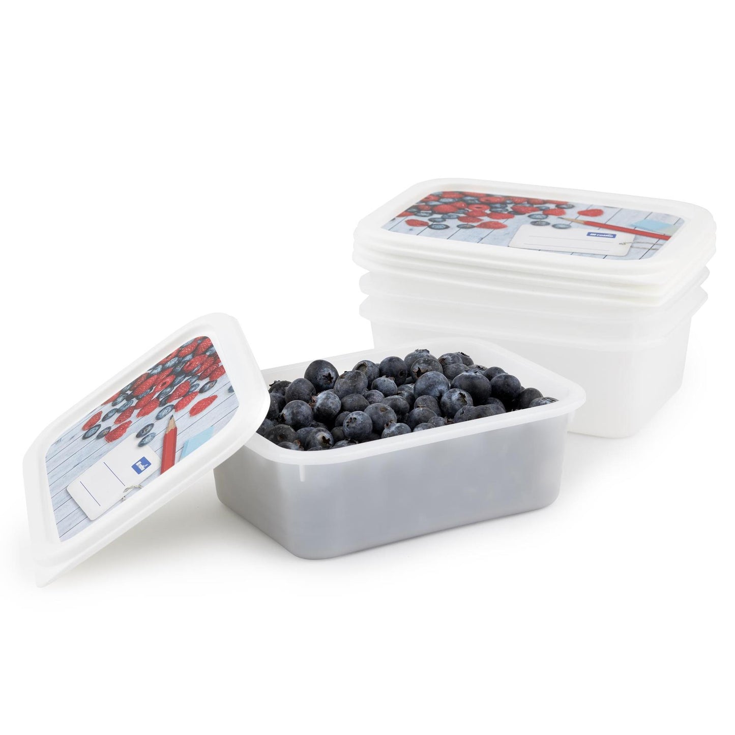 Rotho domino diepvriesdozenset 4-delig 0,5l etiket decor beschrijfbaar
