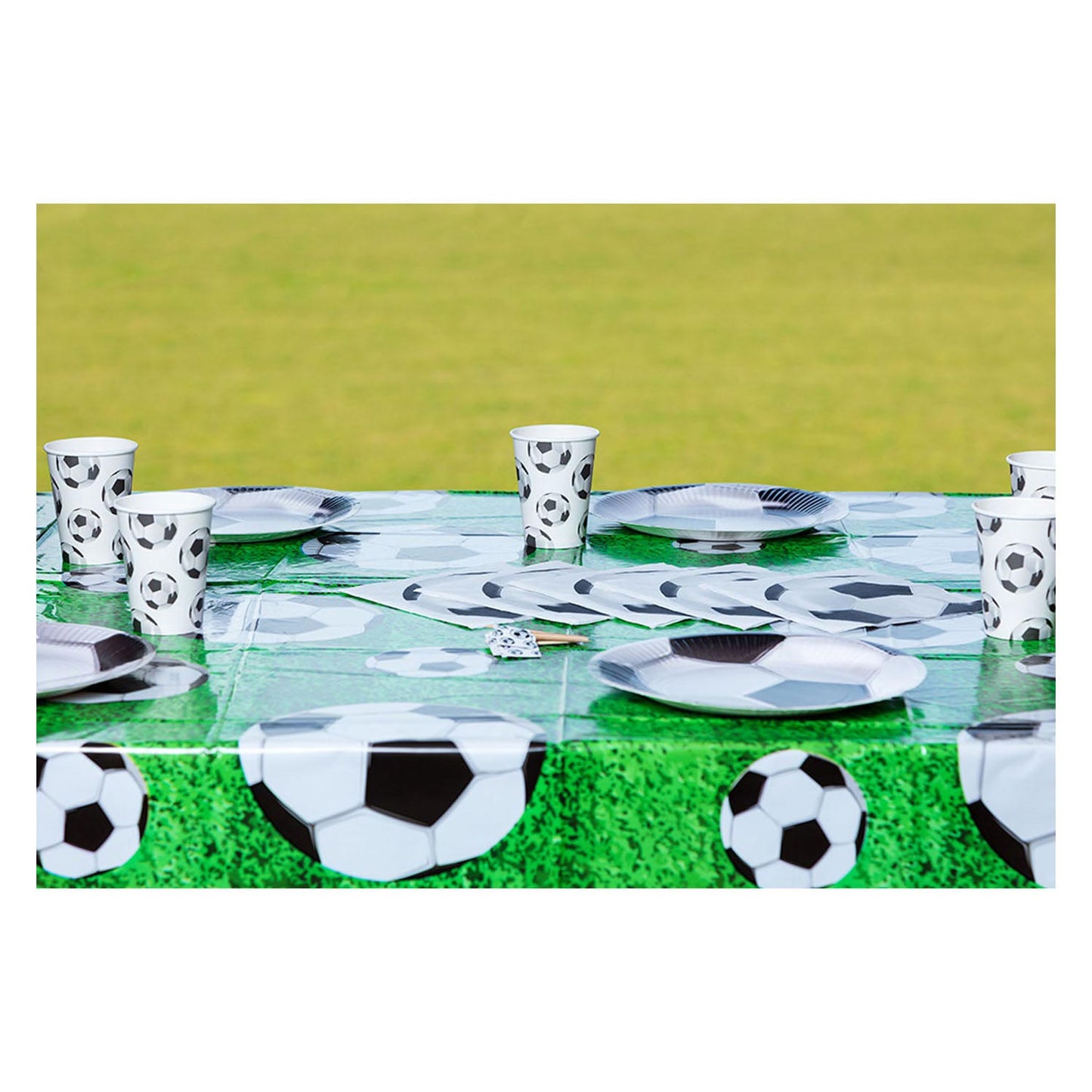 Boland papieren bordjes voetbal set a 10 stuks ã˜23cm