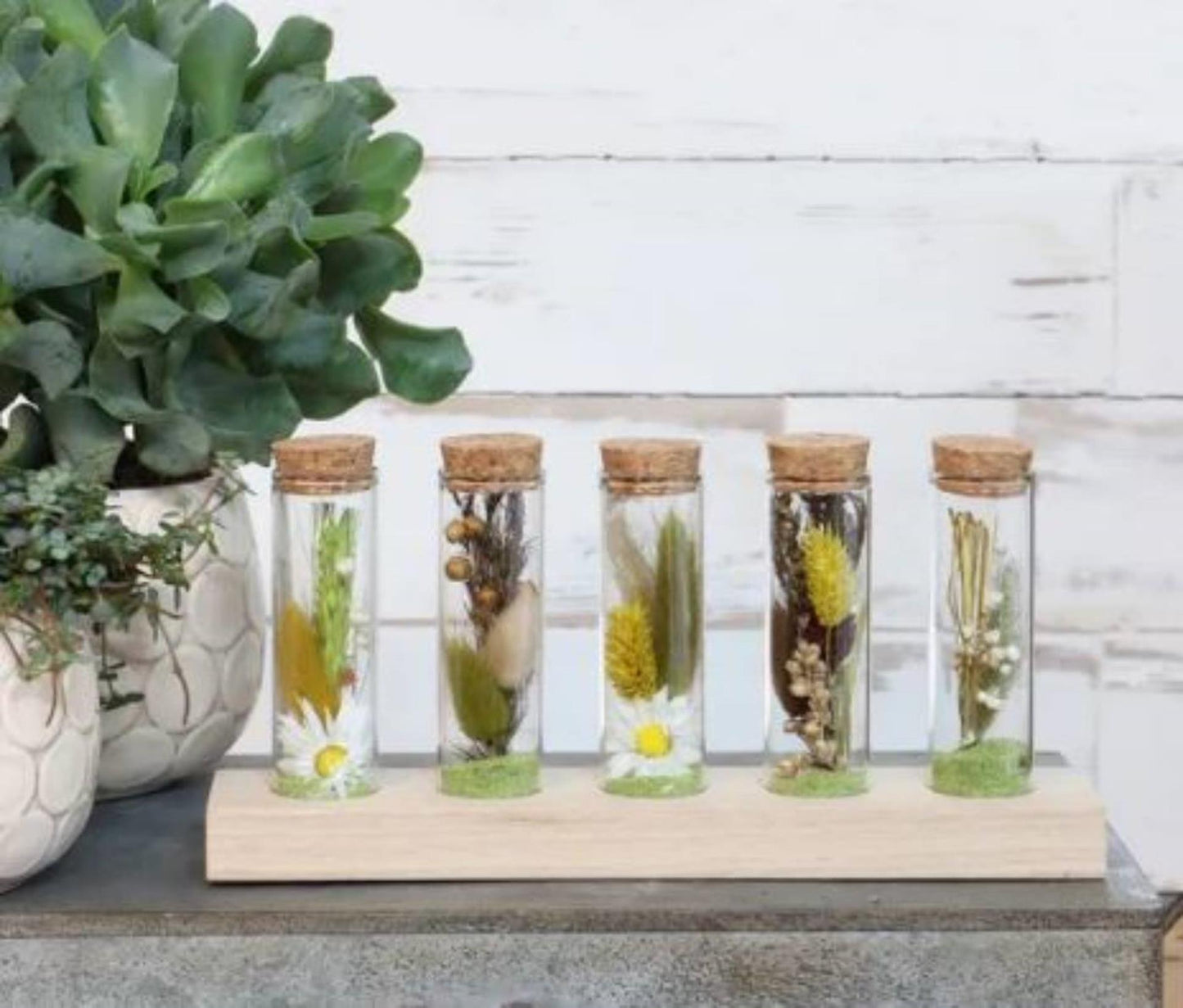 Ideas 4 seasons houten houder met 5 reageerbuizen met kurk stopper ã˜3x10cm