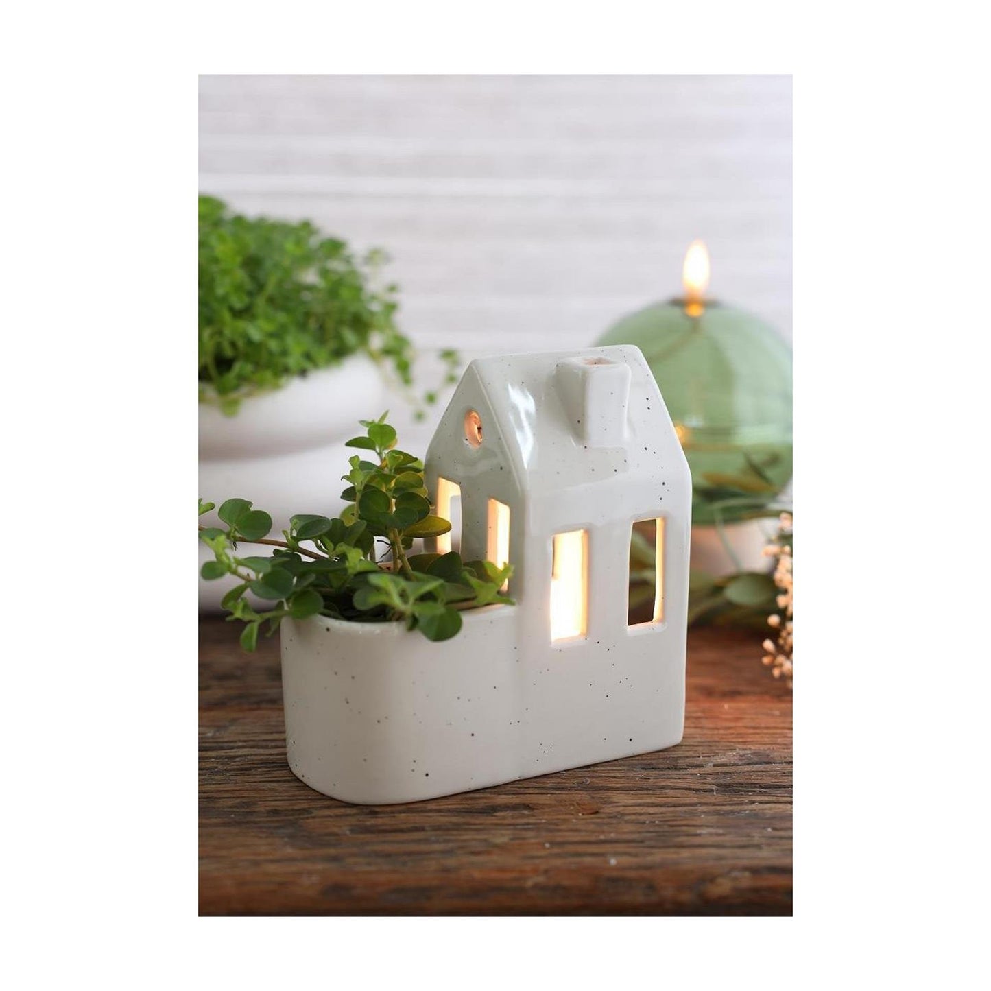 Ideas 4 seasons house of plants crã¨me ø7.3x13,4x14,2cm