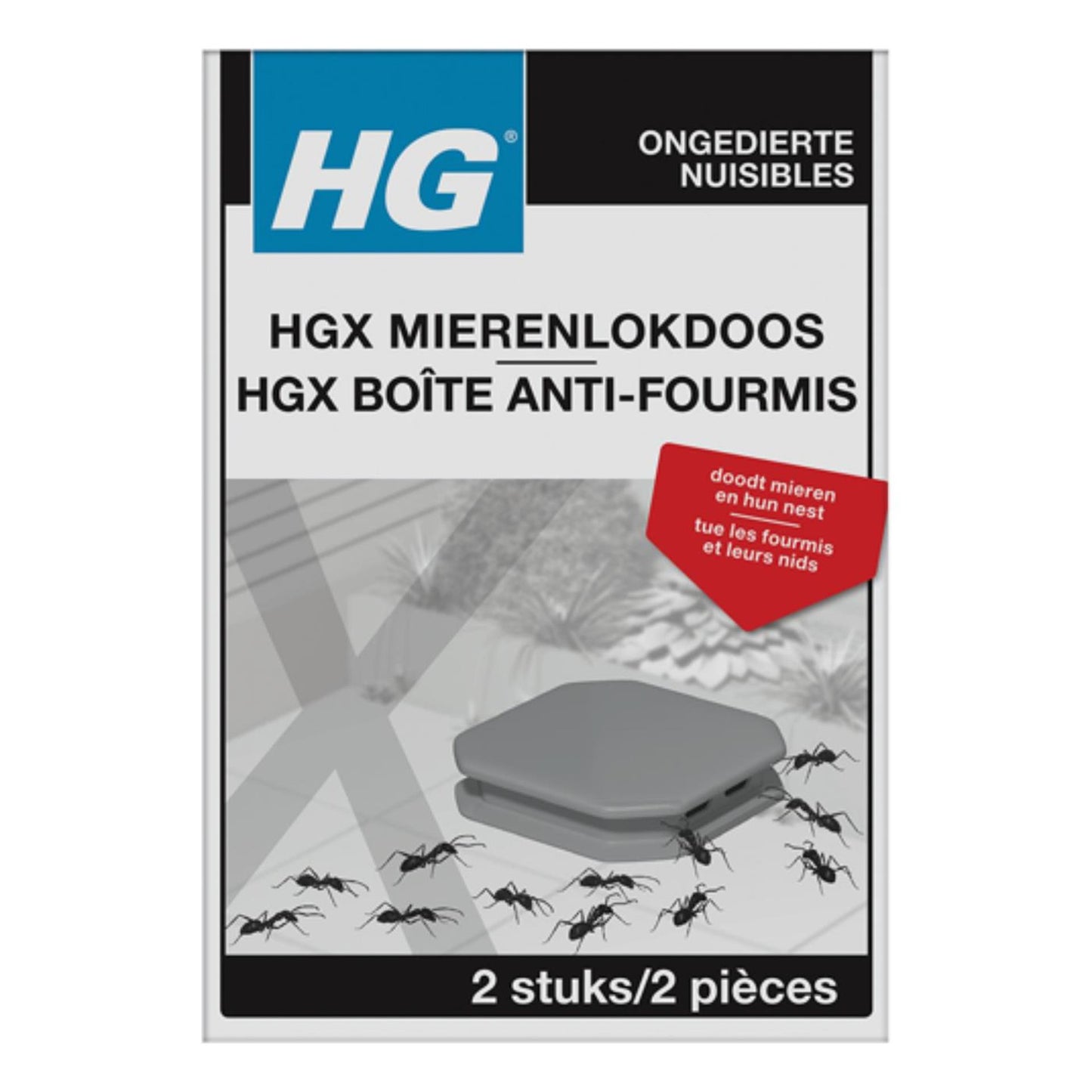 Hg x mierenlokdoos voor binnengebruik