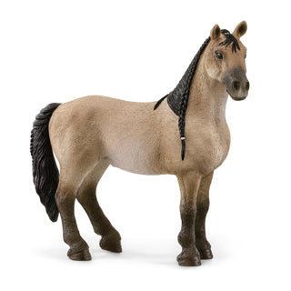 Schleich 13948 criollo definitivo merrie | 5 stuks