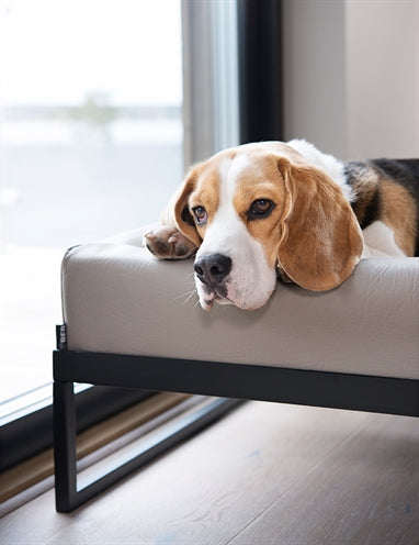 Bia air frame voor bed zwart