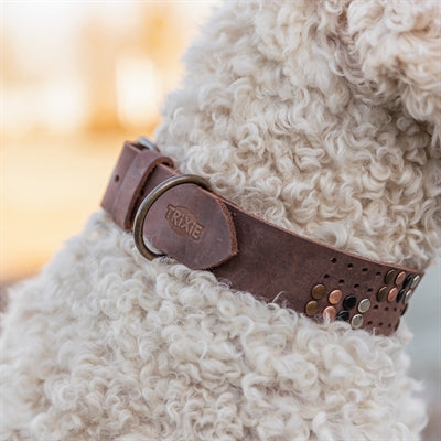 Trixie halsband hond rivet rustic vetleer donkerbruin