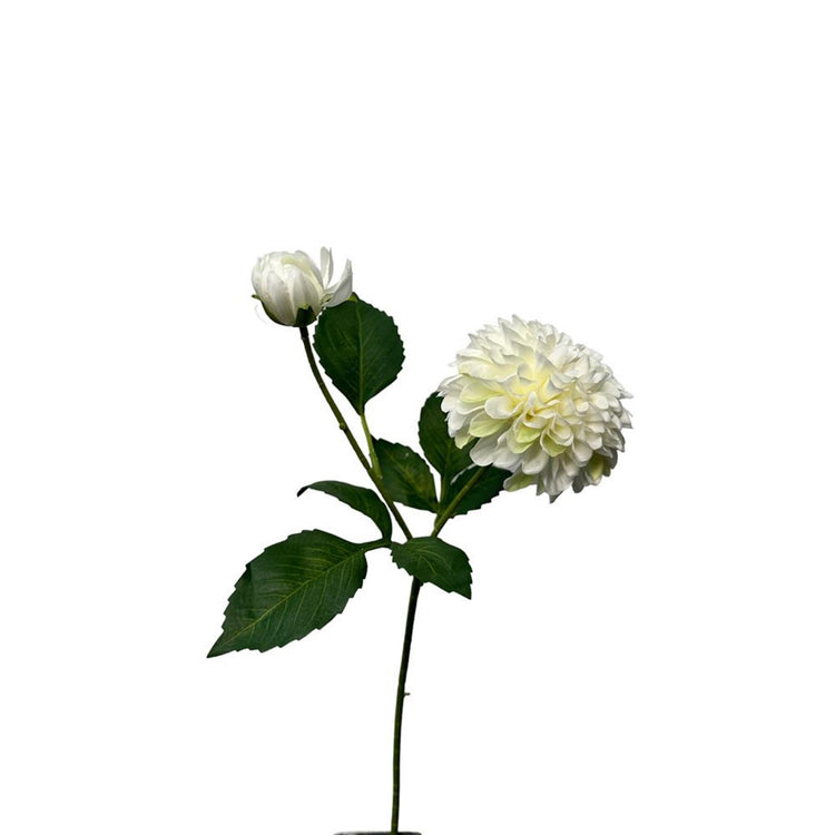 Roberts collection kunstbloem dahlia 56cm wit