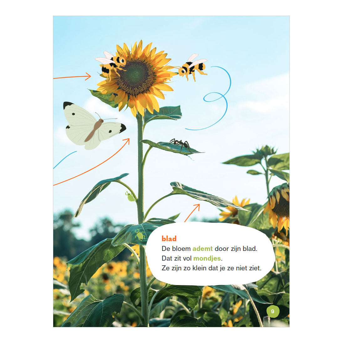 Wpg uitgevers blij met bloemen! - avi e3