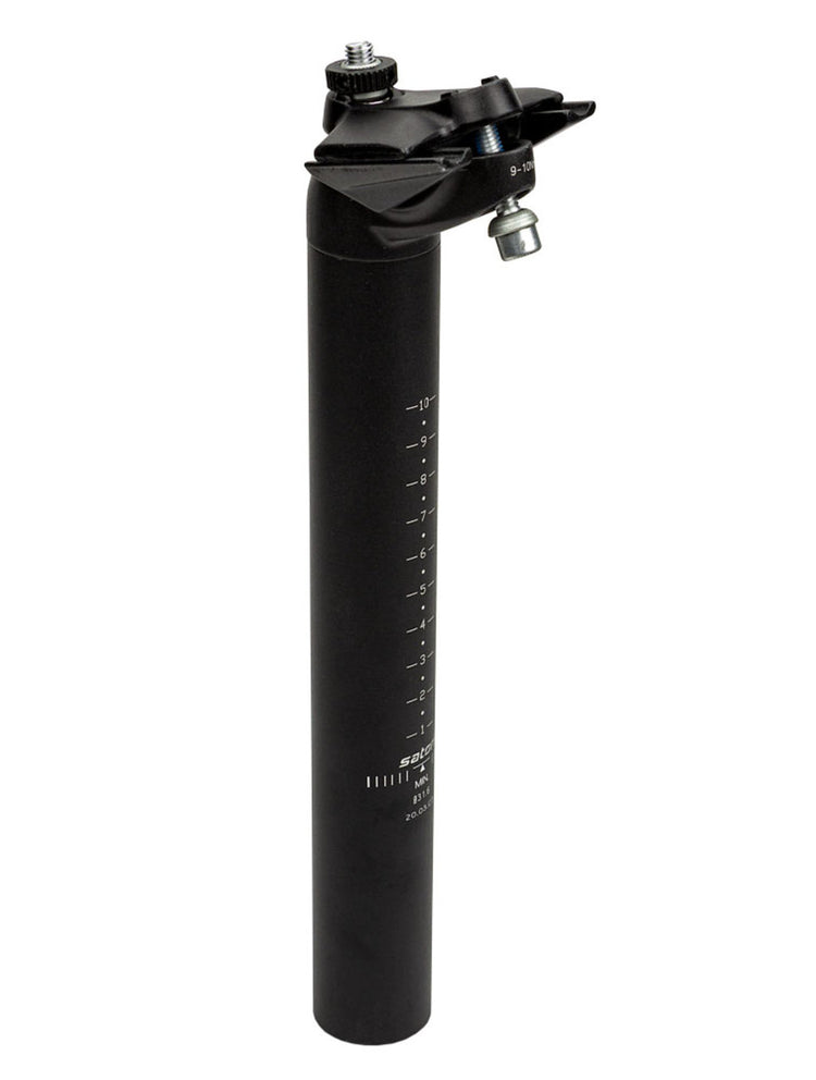Unbranded zadelpen satori trident