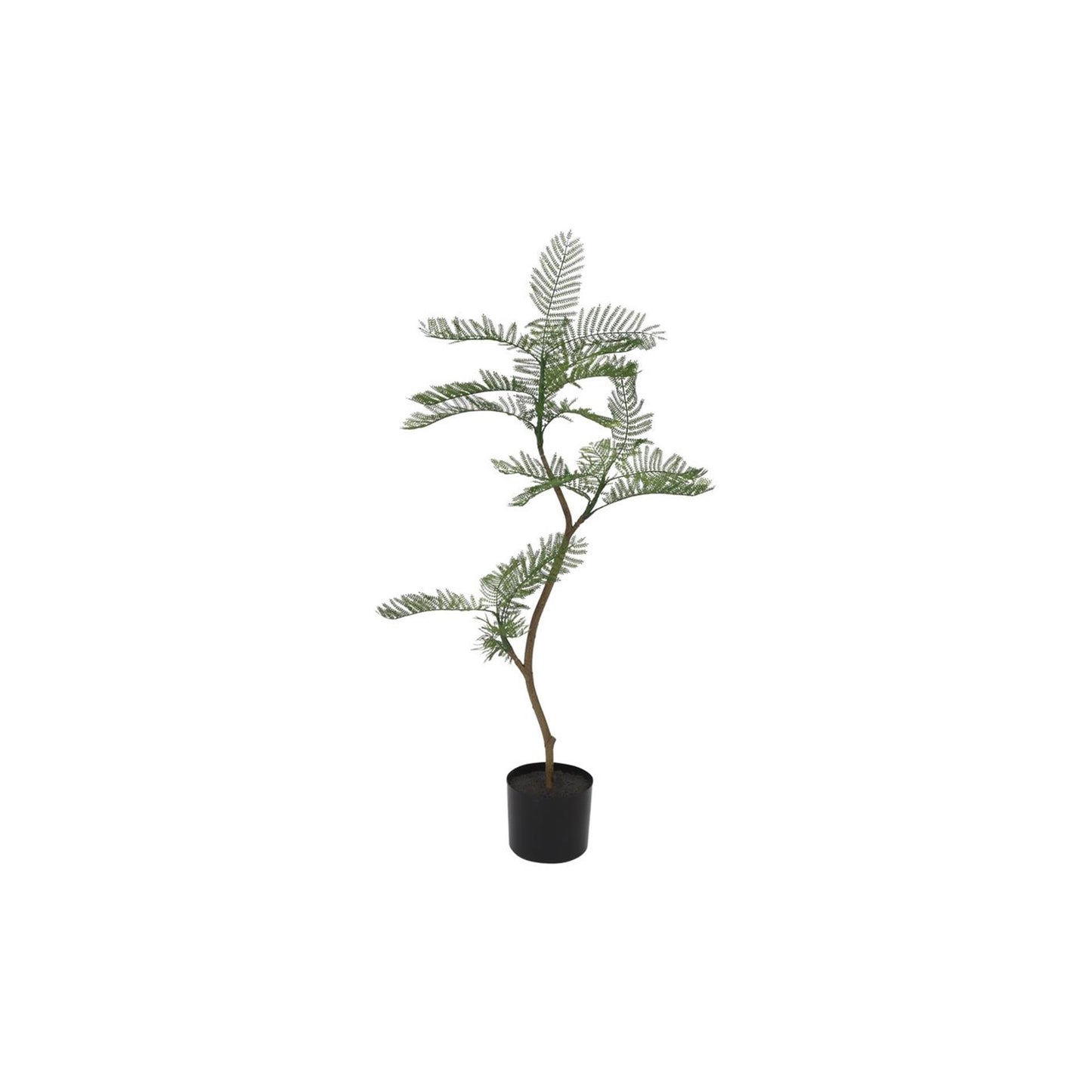 Countryfield kunstplant jacaranda groen 30xh100cm
