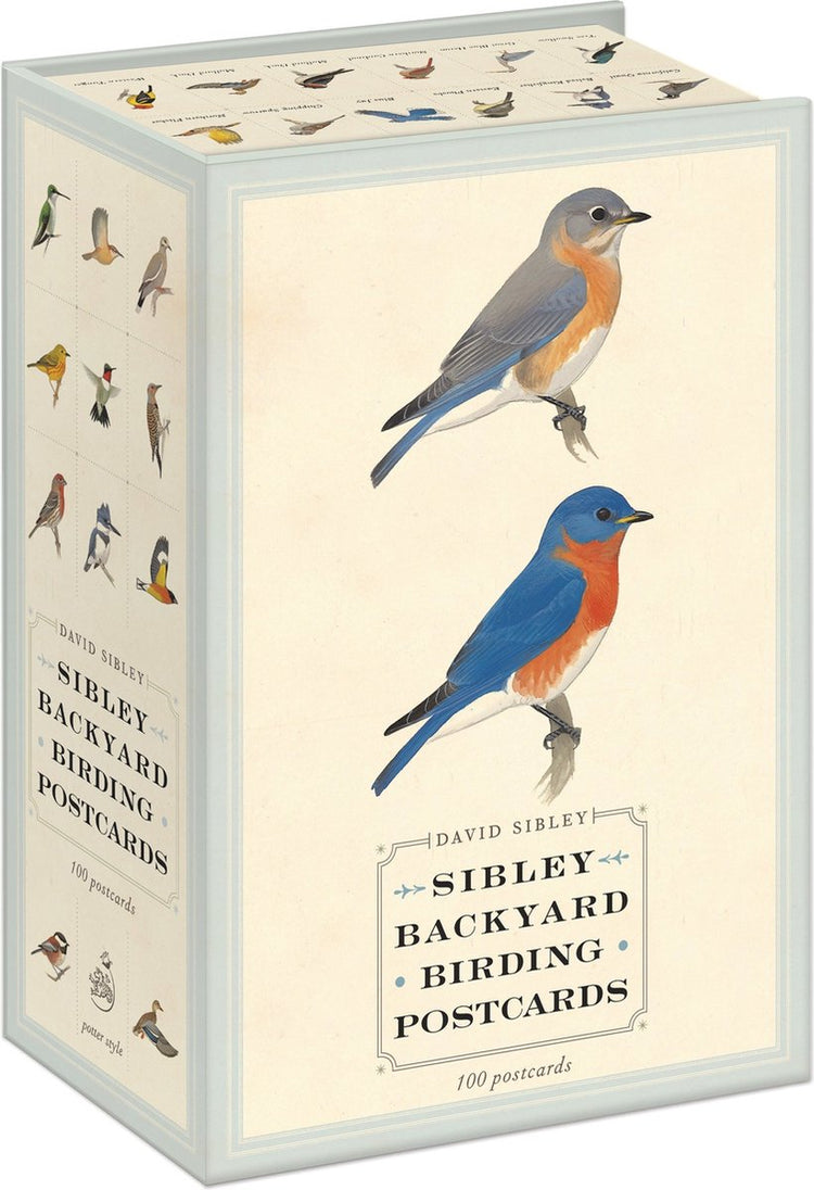 Isbn sibley backyard birding postcards