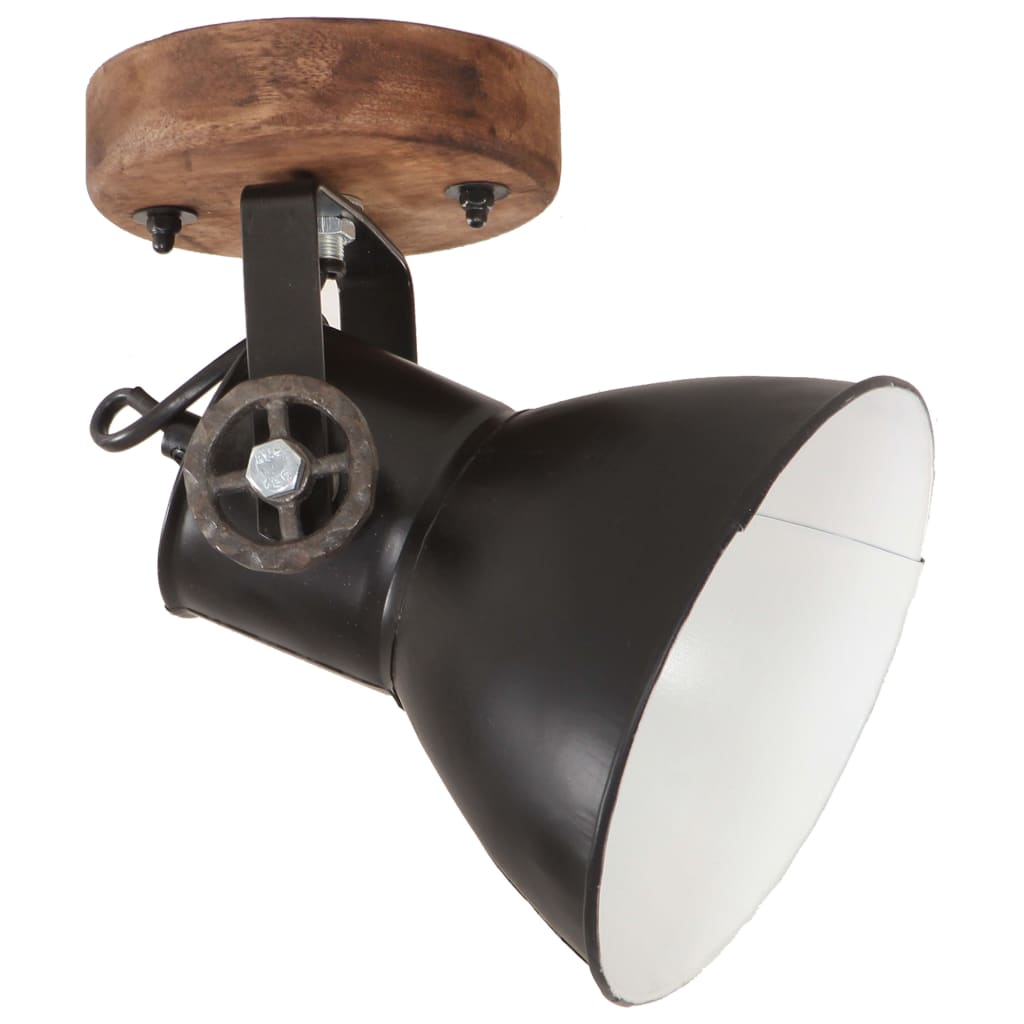 Vidaxl wand- plafondlampen industrieel 2 st e27 20x25 cm zwart