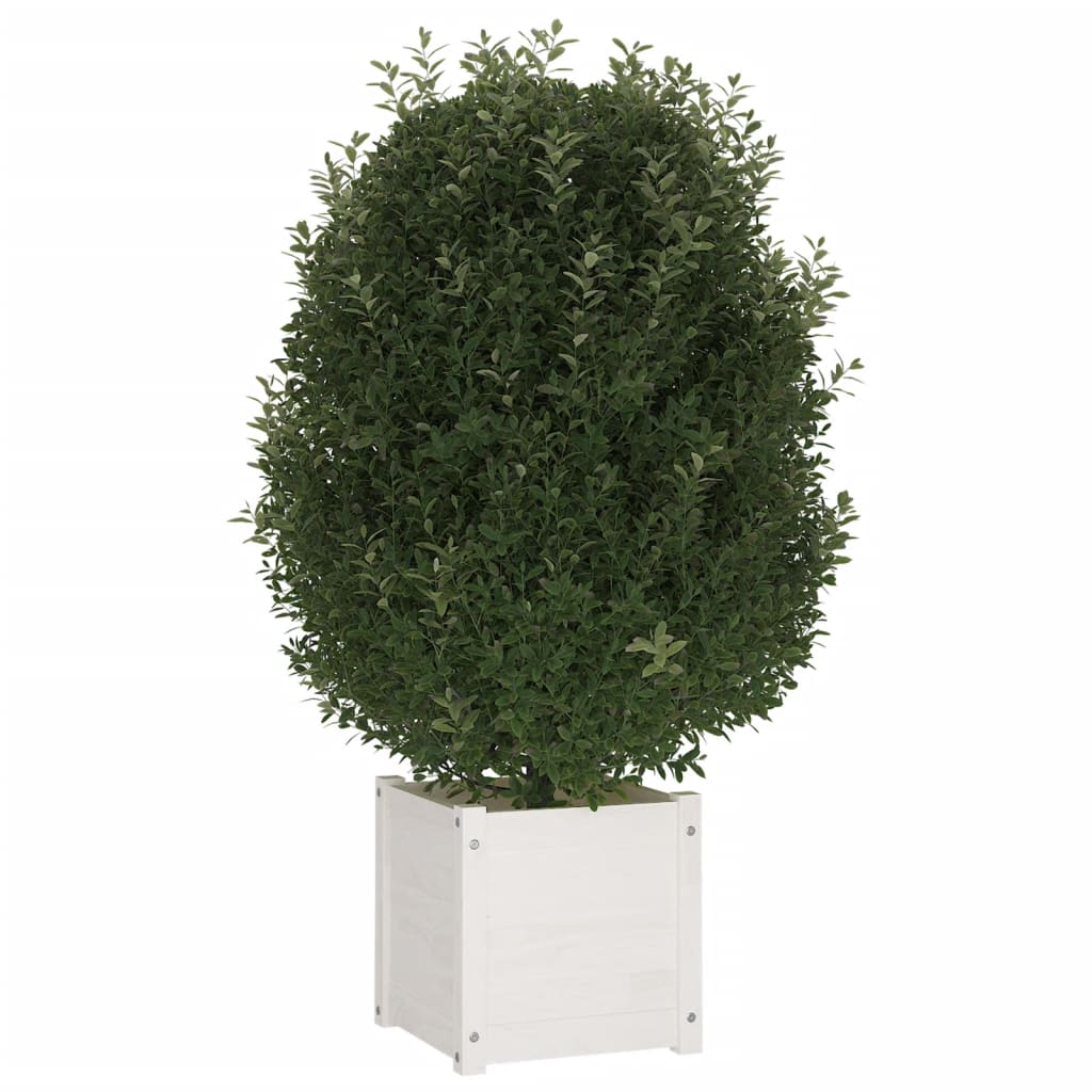 VidaXL Plantenbak 40x40x40 cm massief grenenhout wit