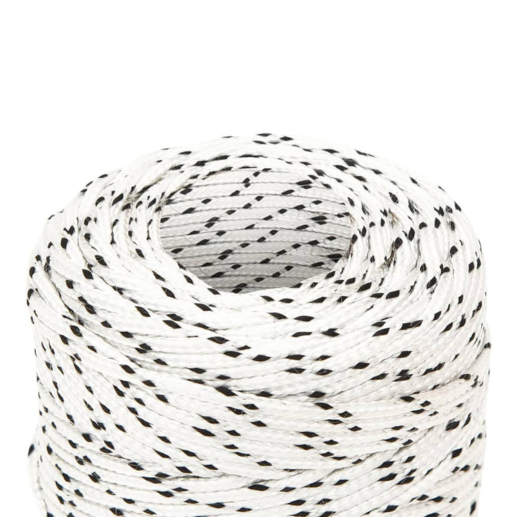 Vidaxl boottouw gevlochten 2 mm x 500 m polyester wit