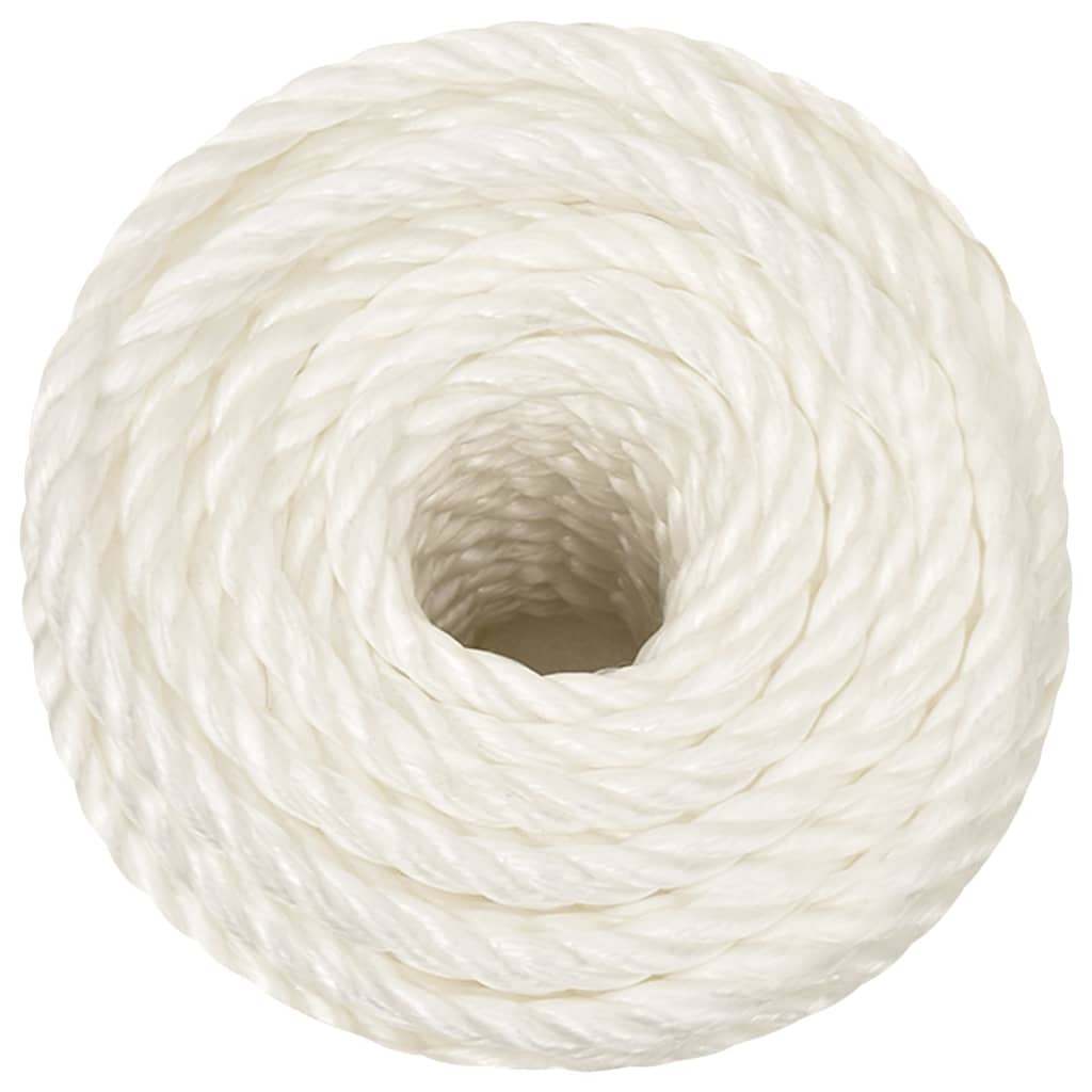 Vidaxl werktouw 10 mm 100 m polypropeen wit