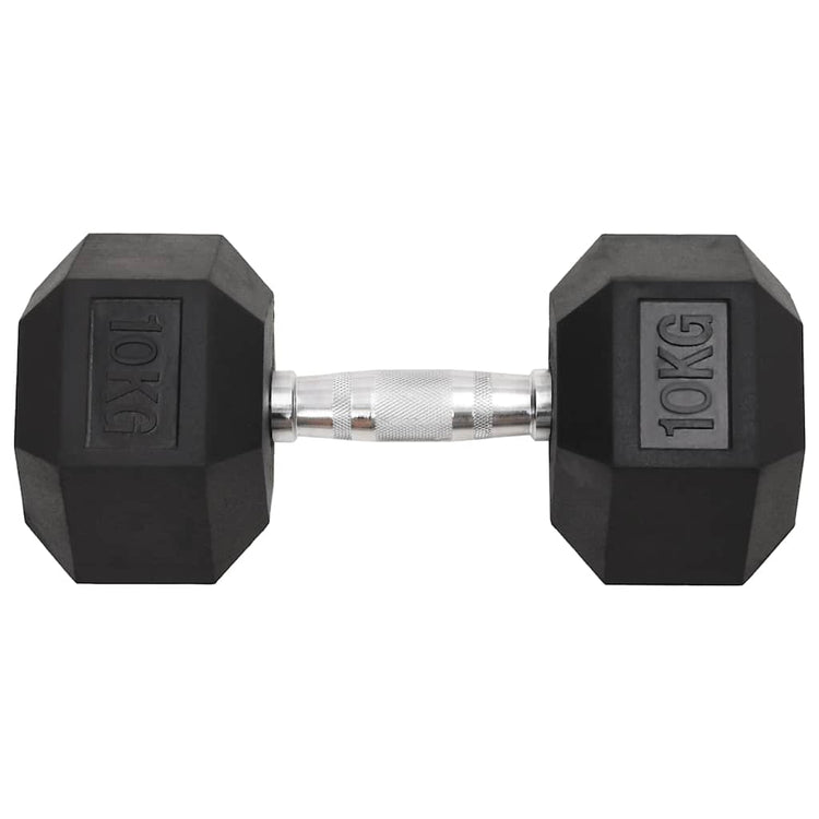 Vidaxl halters 2 st 10 kg totaal gietijzer
