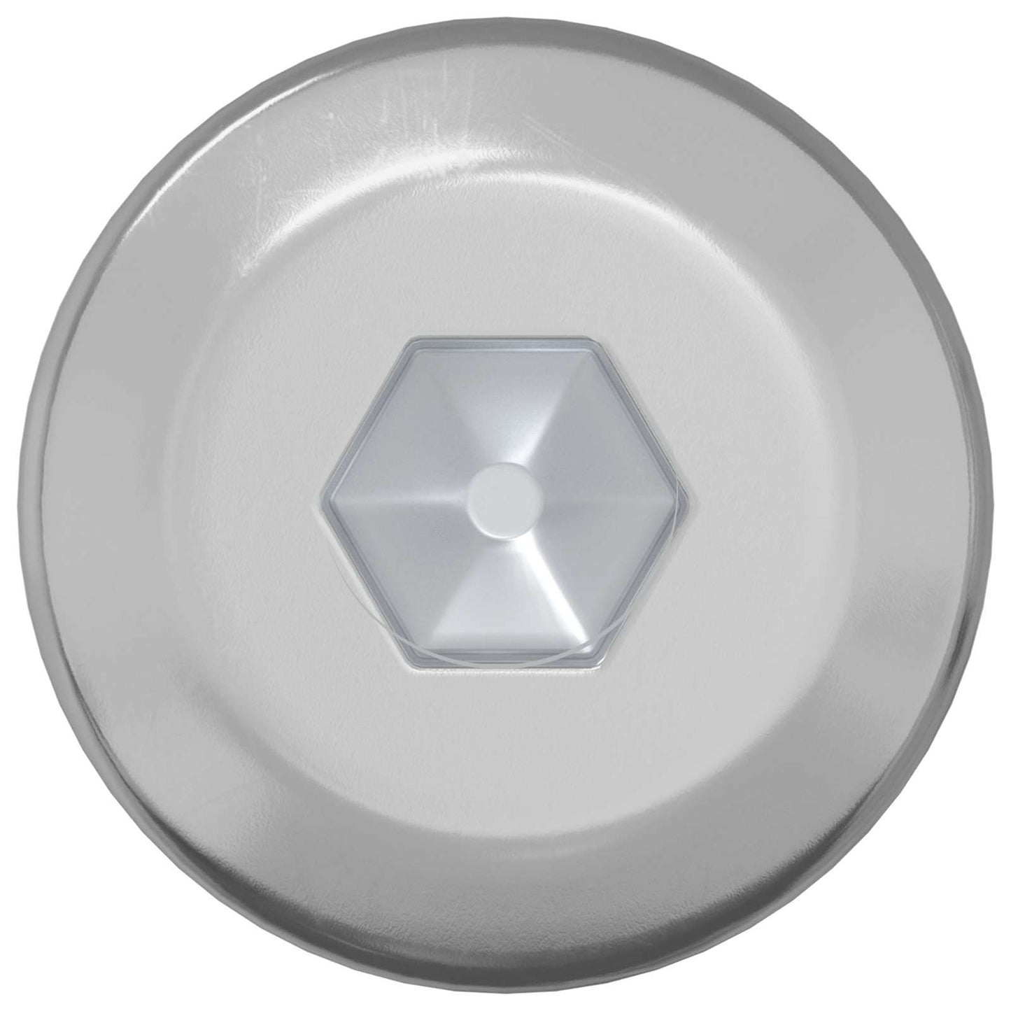 Vidaxl bout 12 pcs zilver m6 x 120 mm staal