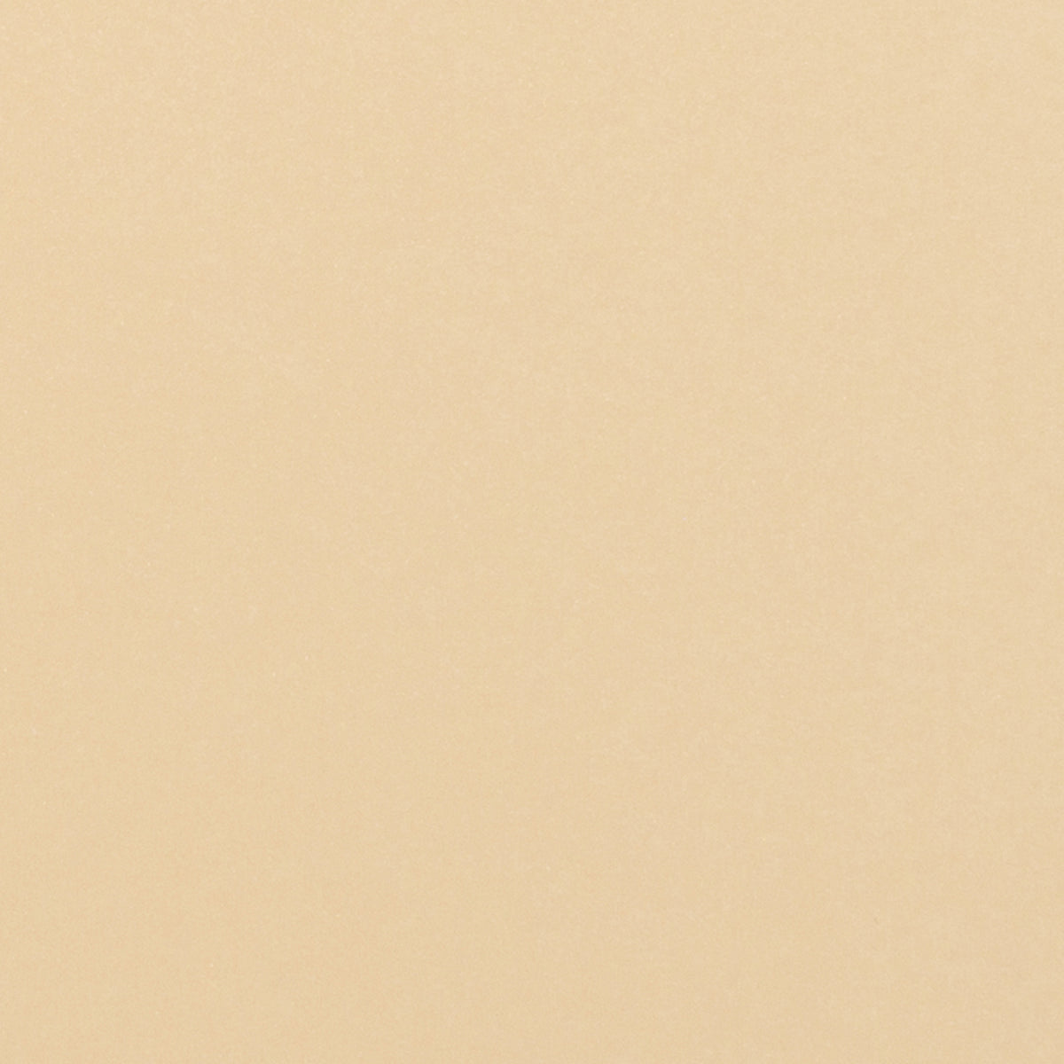 Tonic studios • pearlescent card a4 x5 ivory sheen