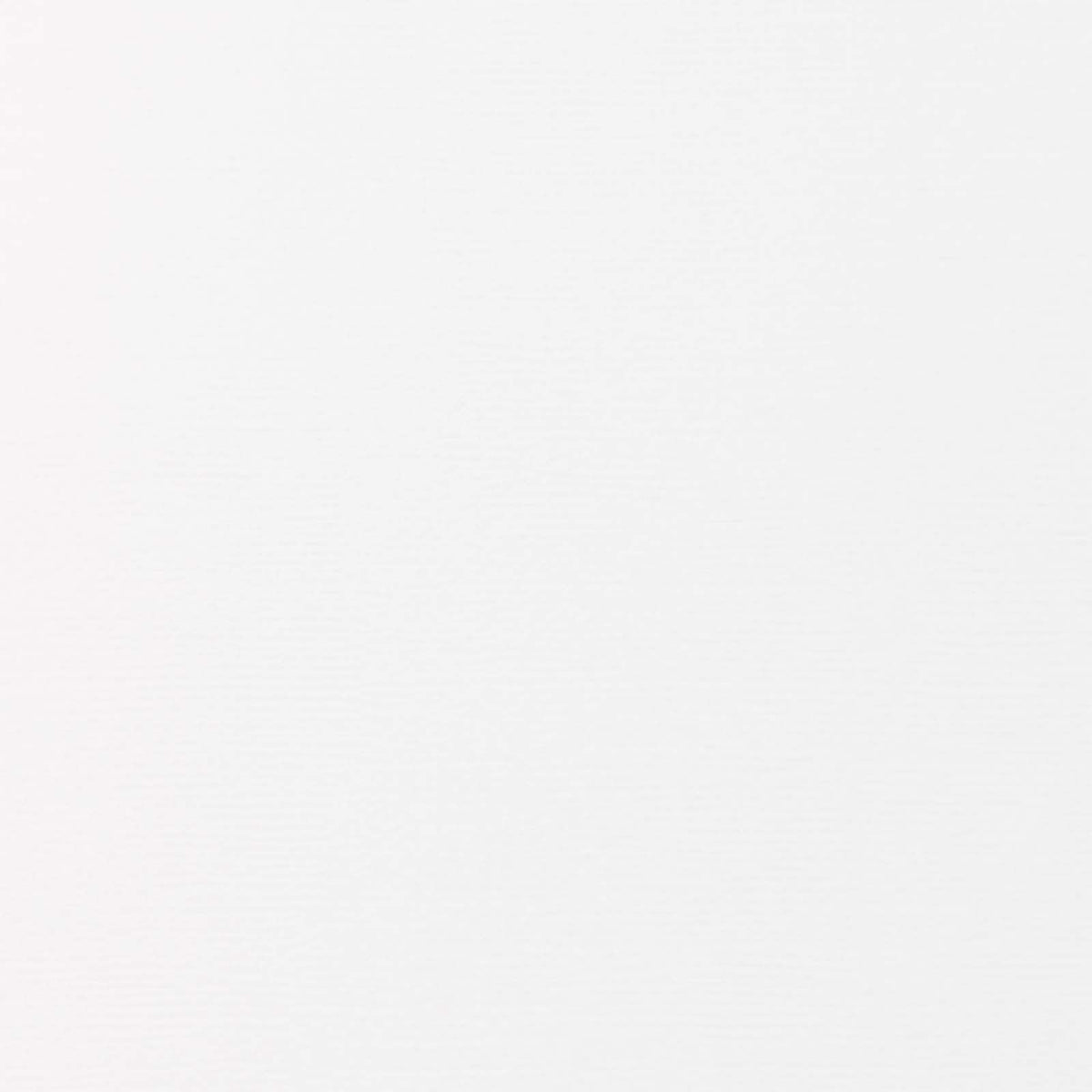 Tonic studios • vellum paper vintage white