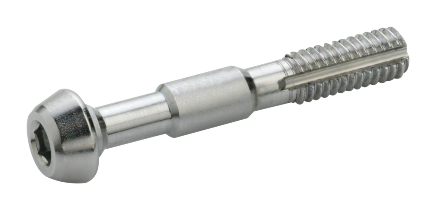 Elvedes banjo bouten voor shimano (2st)