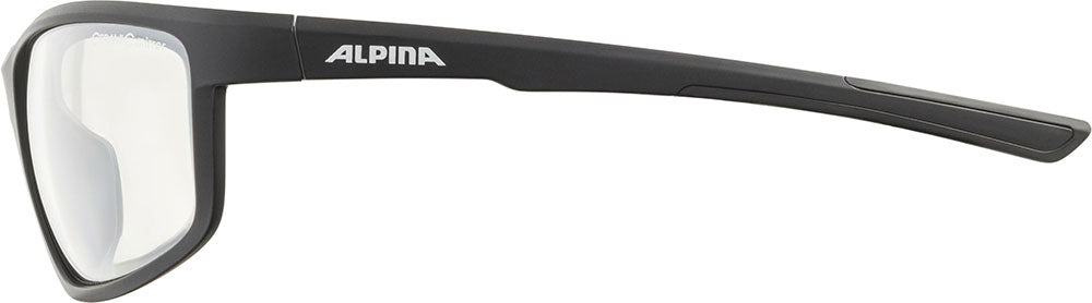 Alpina defey - sports glasses