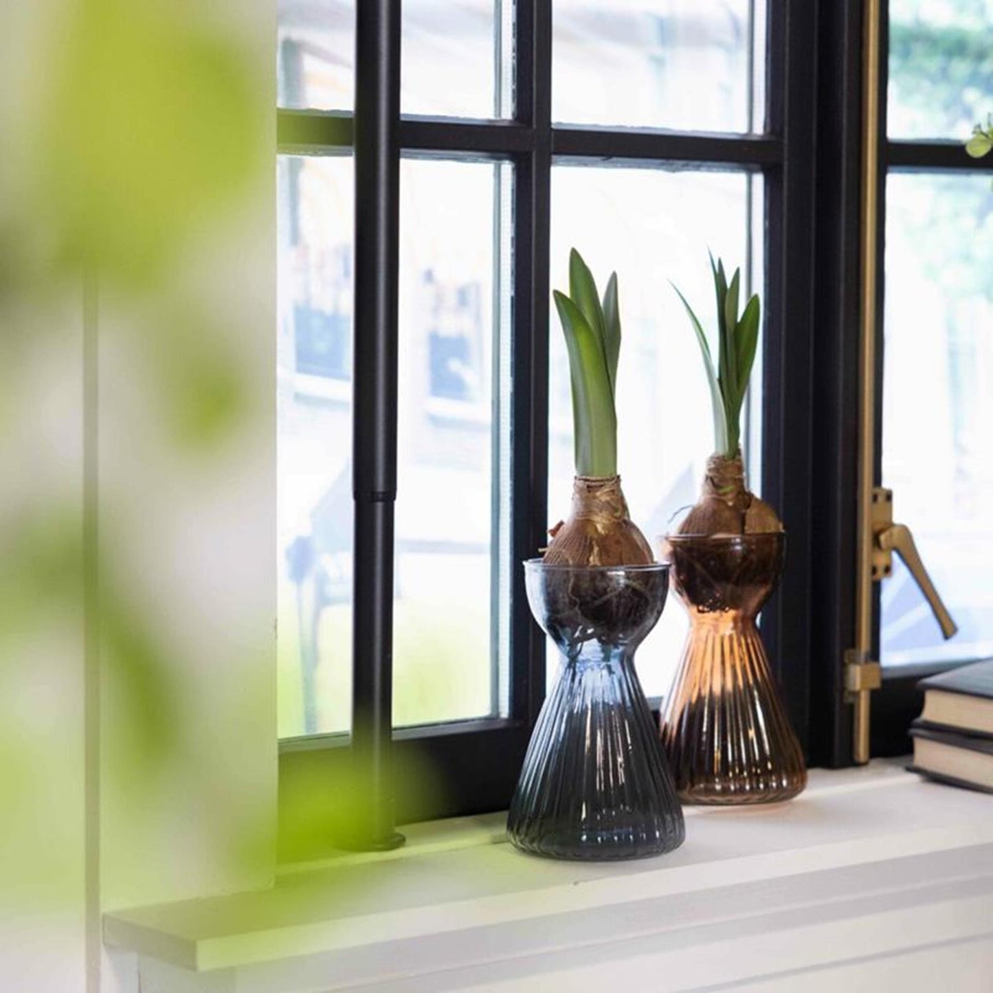 Esschert design bollenvaas geribbeld amaryllis