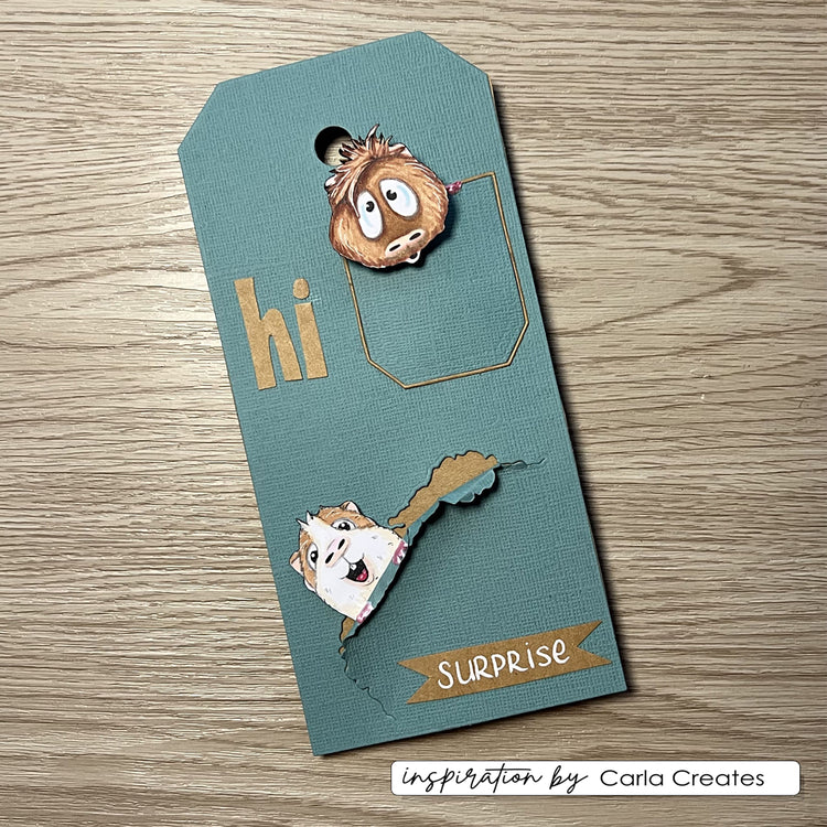 Vaessen creative • clear stamps guinea pigs 2 6st.