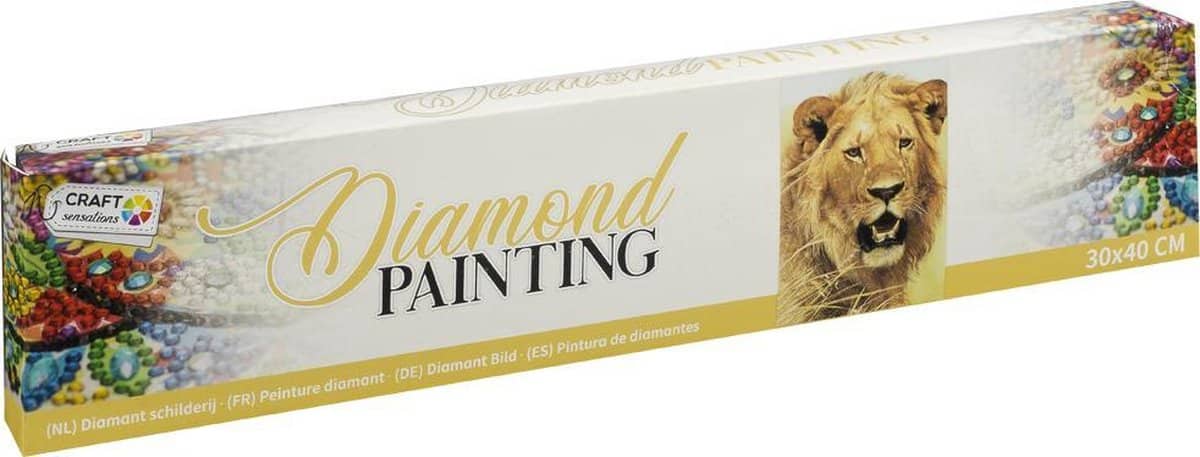 Bongers speelgoed diamond painting - leeuw - 30x40 cm