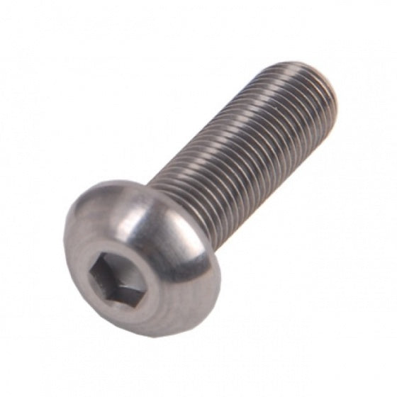 Bofix ds inbusbouten m6x40 bol rvs (12st)
