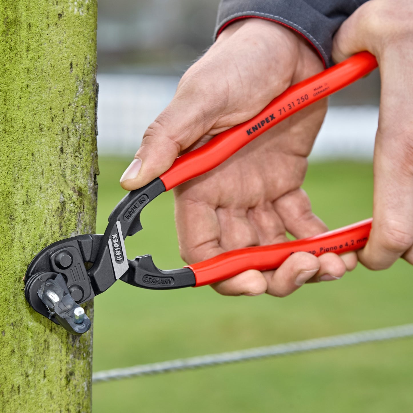 Knipex 7131250 cobolt xl boutensnijder - compact - 250mm