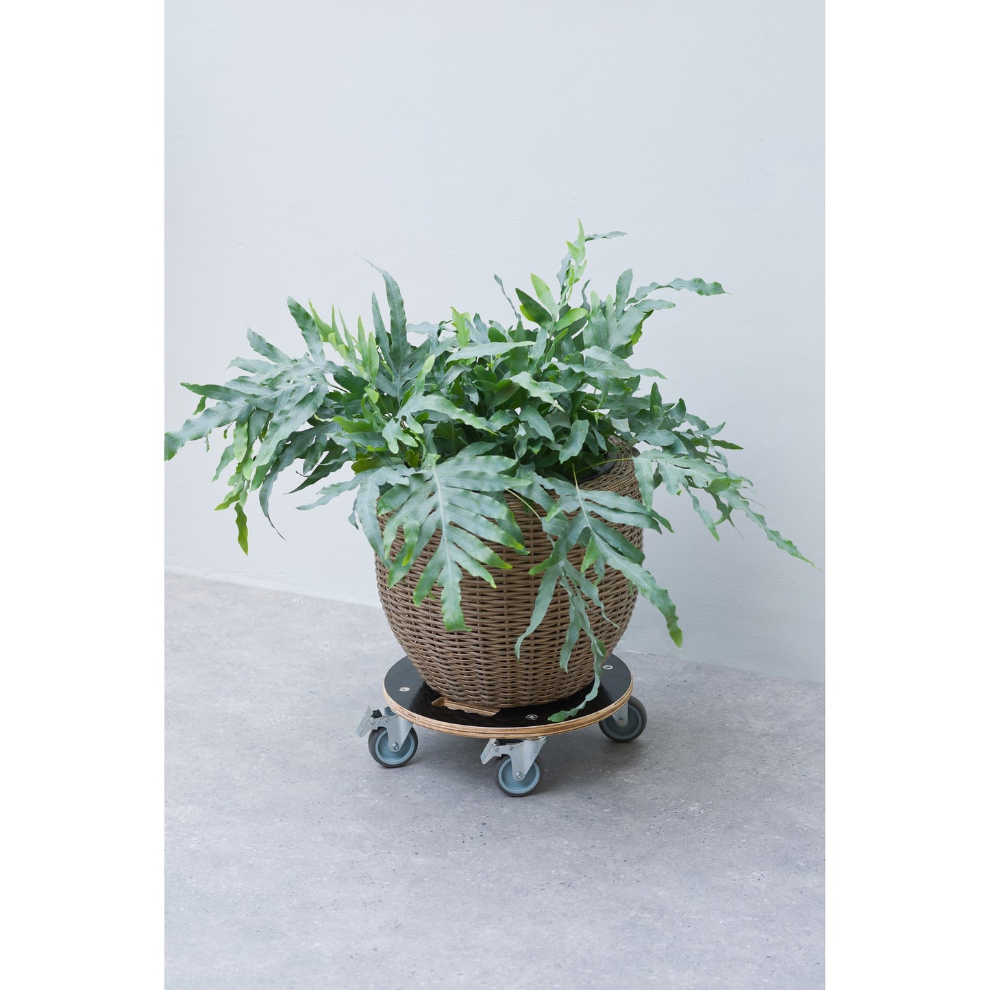 Nature planttrolley rond rolplank (zwart)