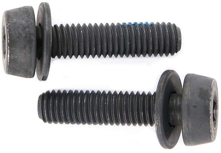 Campagnolo mounting bolts for disc brakes (pack of 2) | 34 mm