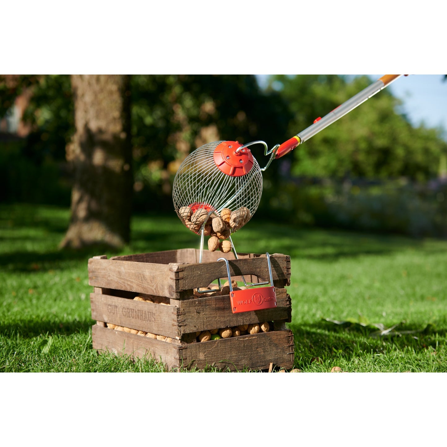 Wolf-garten wolf multi-star combisysteem 71aza001650 fc-ms fruitverzamelaar 300 mm