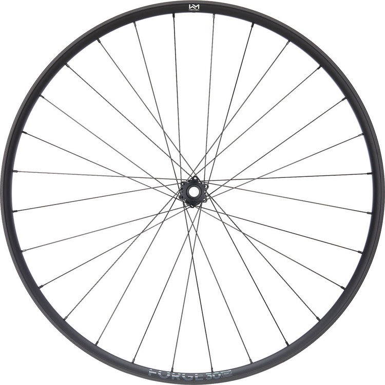 Newmen forge 30 base trail 29 6-bolt 15x110 fade front wheel