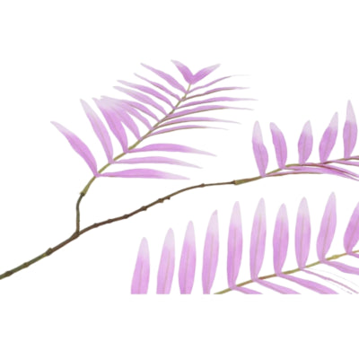 Daan kromhout kunsttak palm leaf zijde lila 95 cm | 6 stuks