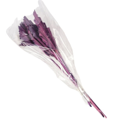 Bundel gedroogd palmblad spear paars 35 cm 4 stuks | 18 stuks