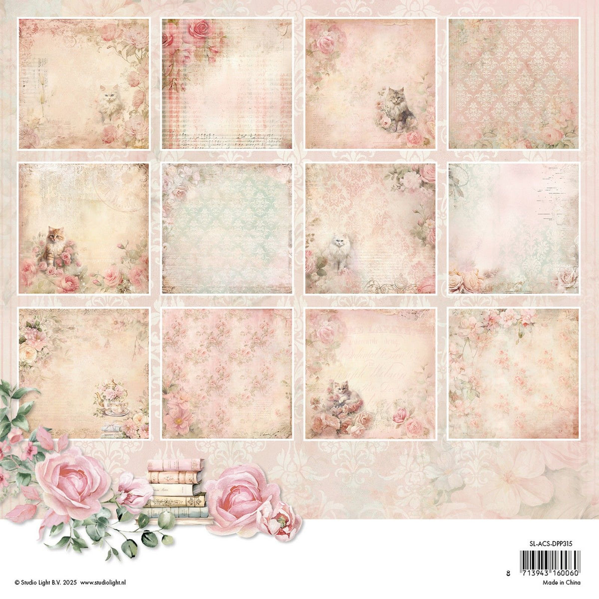 Studio light • a cat's secret designer paper pad background paper