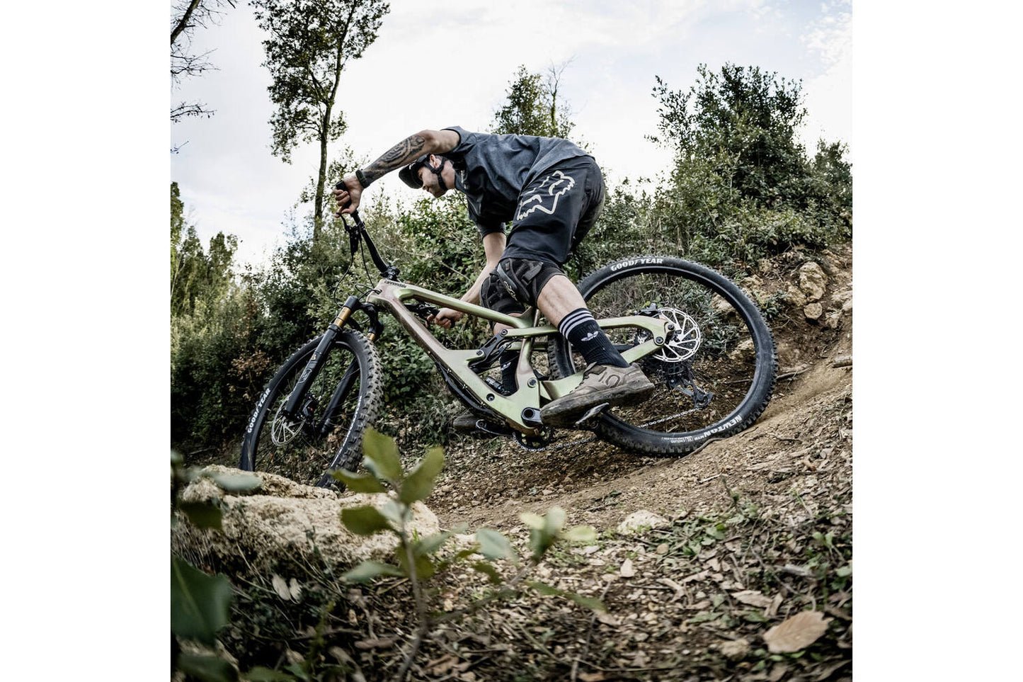 Goodyear Newton mtr enduro tlc 29x2.4